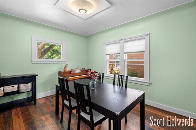 702 Griswold St SE, Grand Rapids, MI 49507 - dining area with plenty of natural light and wood finished floors