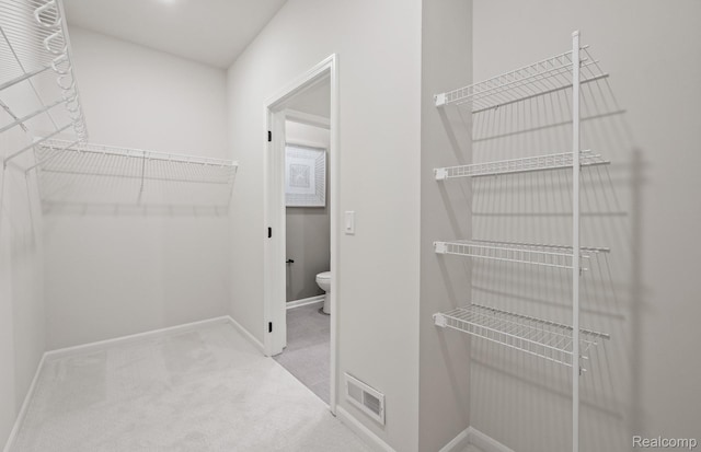 49937 Kent Ct, Canton, MI 48188 - spacious closet with carpet