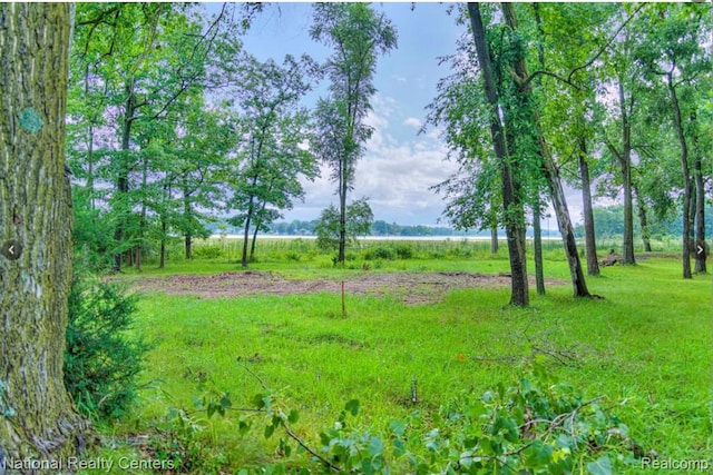 LOT10 Oakpointe Dr, Michigan Center, MI 49254