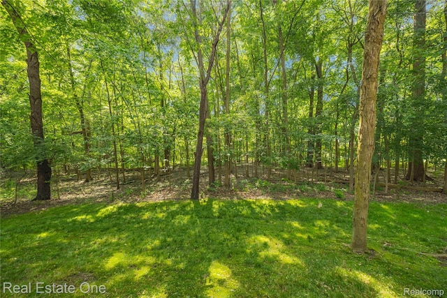 31085 Chatsford St, Novi, MI 48377 - view of green lawn featuring a wooded view