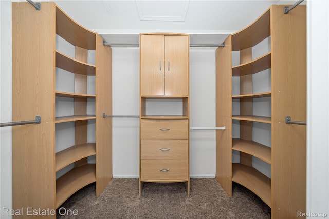 31085 Chatsford St, Novi, MI 48377 - spacious closet featuring dark colored carpet