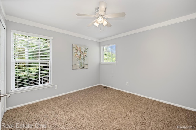 31085 Chatsford St, Novi, MI 48377 - spare room featuring carpet, ceiling fan, and crown molding