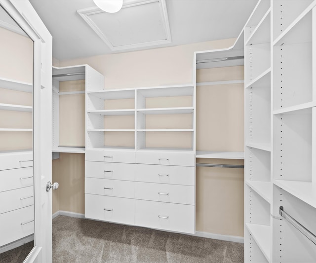 668 Boston Ct, Ann Arbor, MI 48103 - walk in closet featuring carpet floors and attic access