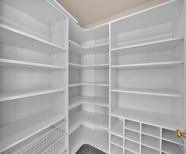 668 Boston Ct, Ann Arbor, MI 48103 - view of storage area