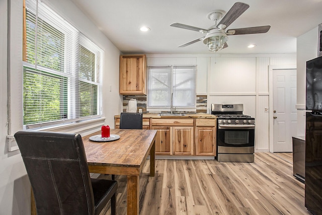 565 E Rockford Rd, Idlewild, MI 49642 - kitchen with stainless steel gas stove, light wood-type flooring, plenty of natural light, a ceiling fan, and recessed lighting