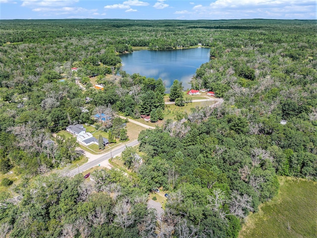 565 E Rockford Rd, Idlewild, MI 49642 - view of property location with a heavily wooded area and a large body of water
