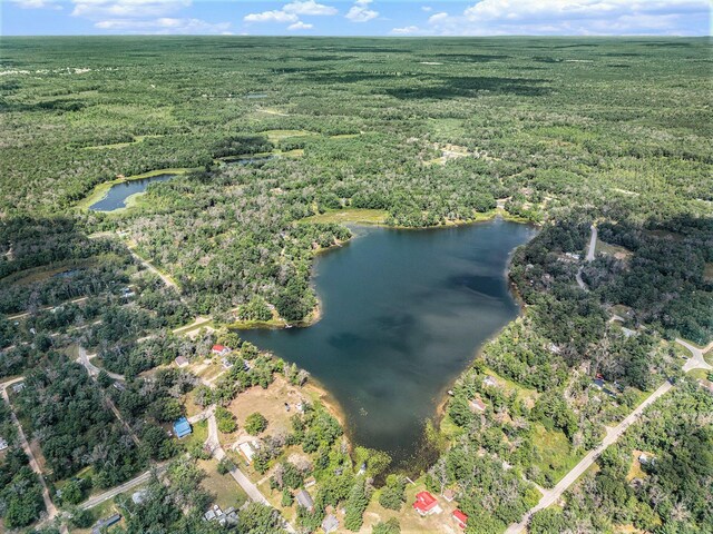 565 E Rockford Rd, Idlewild, MI 49642 - view of property location with a large body of water and a heavily wooded area
