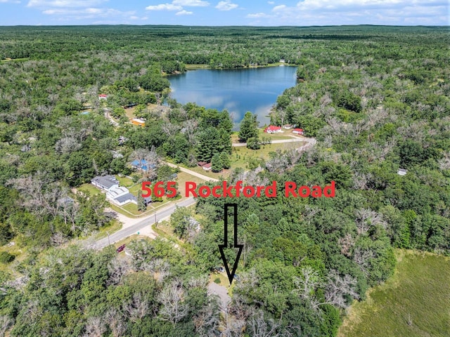 565 E Rockford Rd, Idlewild, MI 49642 - view of property location with a forest and a large body of water