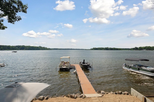 5090 Schrah Dr, Munith, MI 49259 - dock with a water view