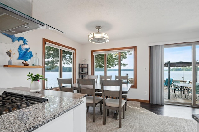 5090 Schrah Dr, Munith, MI 49259 - dining area with a water view, light carpet, and a textured ceiling