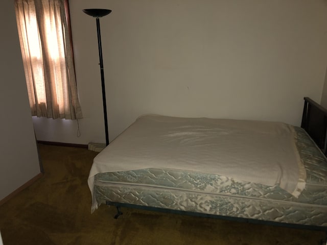 1483 Rose Ave, Benton Harbor, MI 49022 - bedroom with baseboard heating and carpet floors