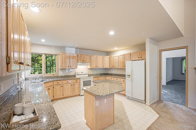 165 Audubon Dr, White Lake, MI 48383 - photo 11