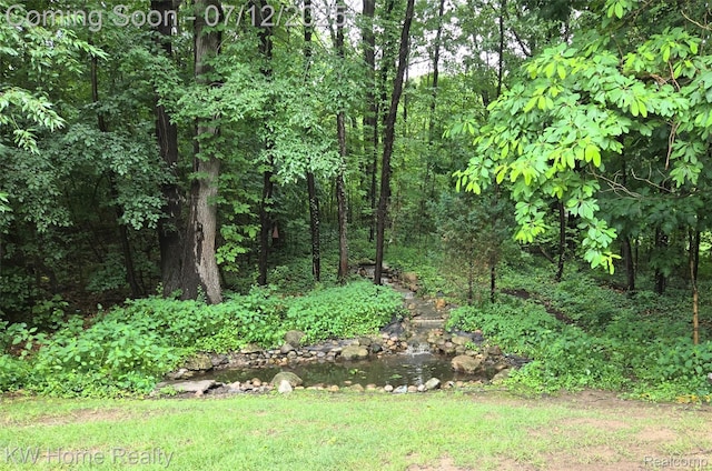 165 Audubon Dr, White Lake, MI 48383 - photo 32