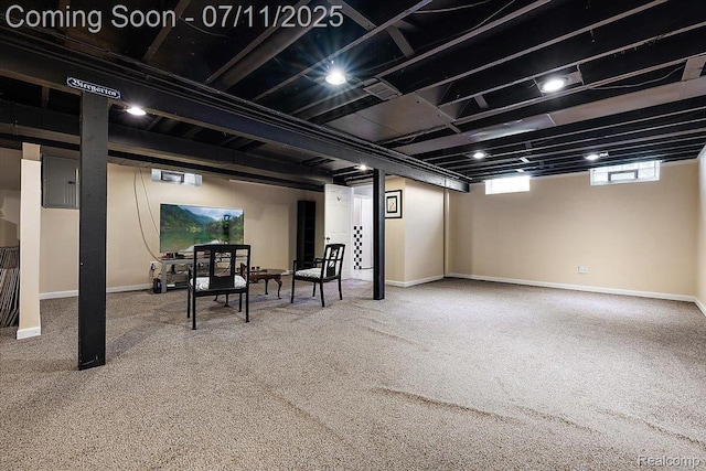 4674 Chapel Dr, Troy, MI 48085 - basement with carpet flooring and electric panel
