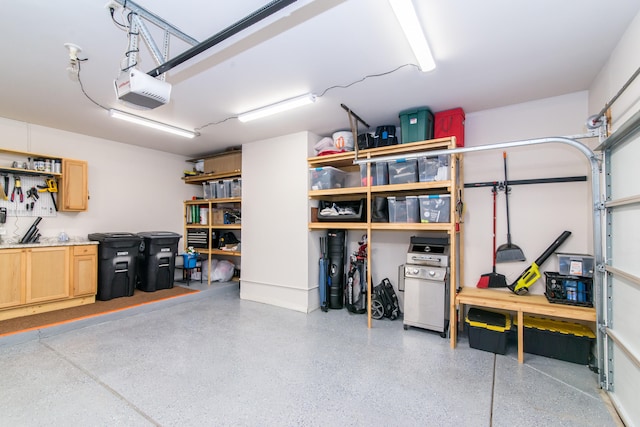 37516 N Laurel Park Dr, Livonia, MI 48152 - garage with a garage door opener and a workshop area