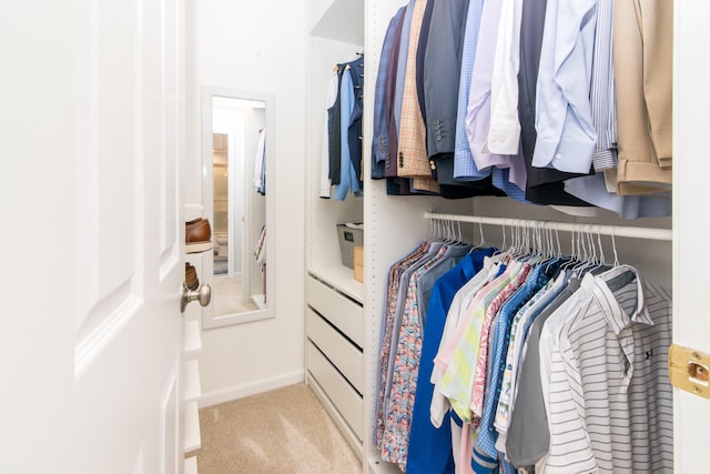 37516 N Laurel Park Dr, Livonia, MI 48152 - walk in closet with light colored carpet