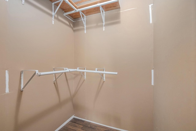 36466 M 40, Paw Paw, MI 49079 - walk in closet featuring dark wood-style floors