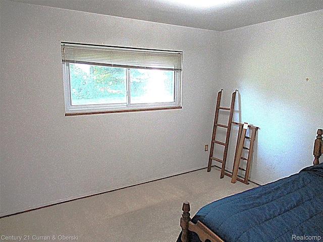 34005 Alta Loma Dr, Farmington, MI 48335 - view of carpeted bedroom