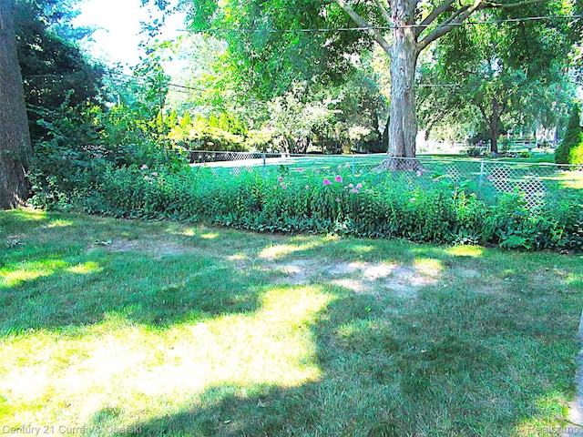 34005 Alta Loma Dr, Farmington, MI 48335 - view of yard