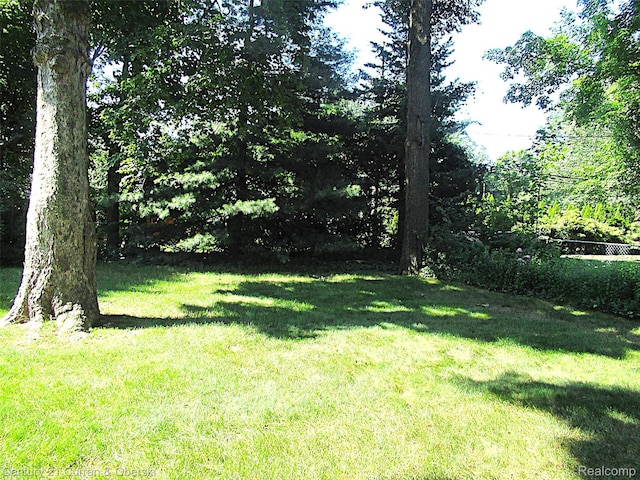 34005 Alta Loma Dr, Farmington, MI 48335 - view of green lawn