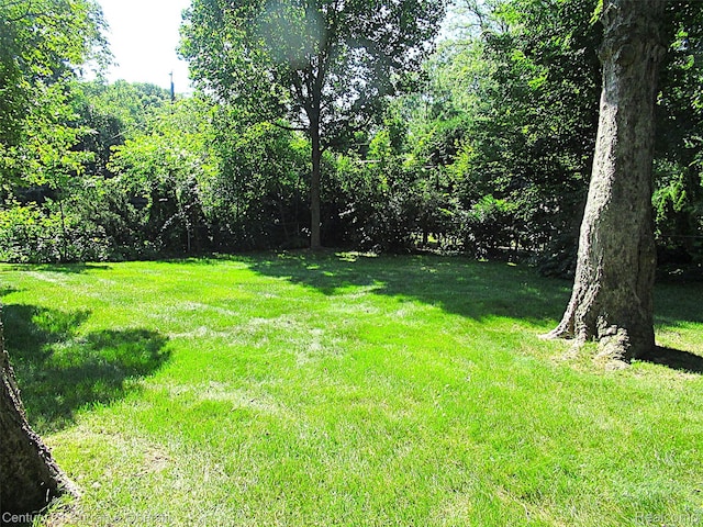 34005 Alta Loma Dr, Farmington, MI 48335 - view of green lawn with a forest view