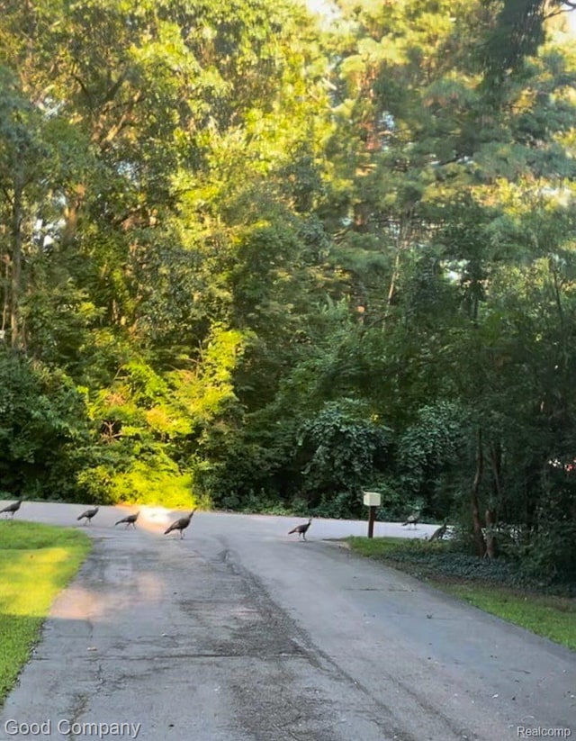 29755 Rosemond Dr, Southfield, MI 48025 - view of asphalt street with a wooded view