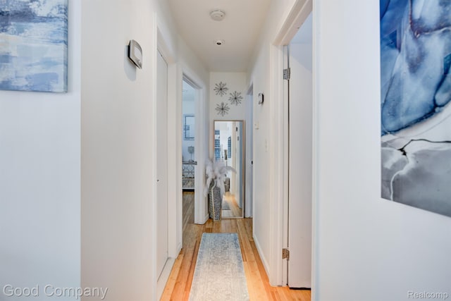 29755 Rosemond Dr, Southfield, MI 48025 - hallway with light wood finished floors