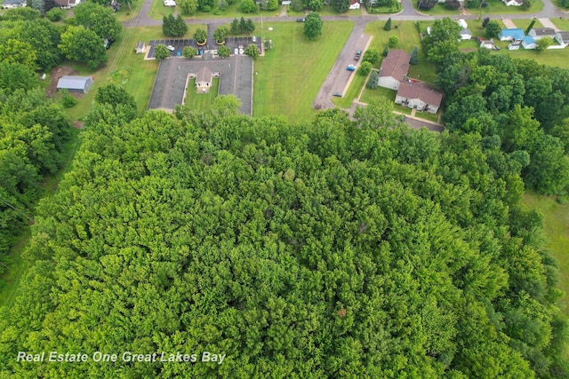 600 Bentley St, Chesaning, MI 48616