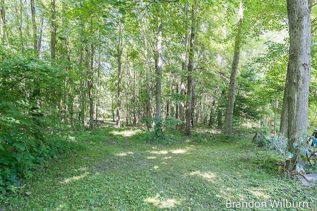 2289 S Sullivan Rd, Ravenna, MI 49451 - view of wooded area