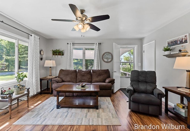 2289 S Sullivan Rd, Ravenna, MI 49451 - living room featuring plenty of natural light, a ceiling fan, and wood finished floors