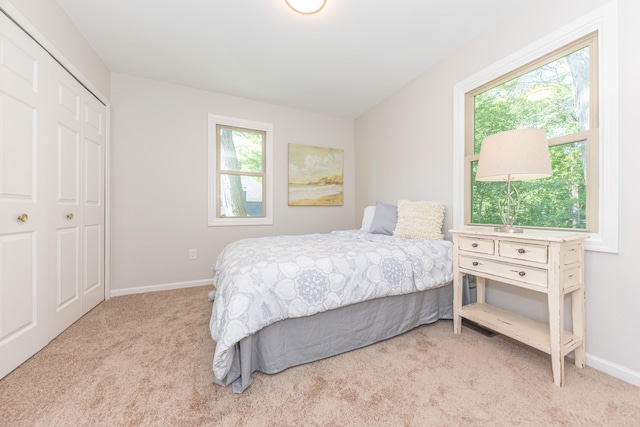 2728 Kimberley Rd, Ann Arbor, MI 48104 - carpeted bedroom featuring multiple windows and a closet