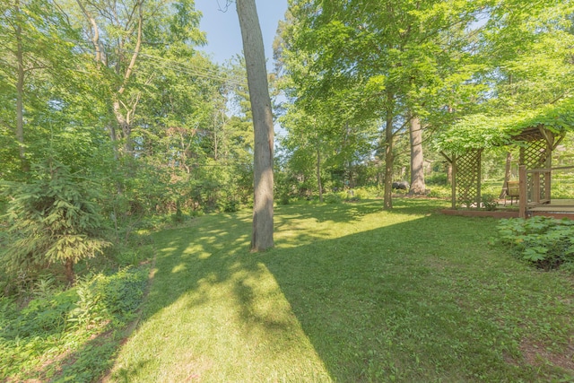 2728 Kimberley Rd, Ann Arbor, MI 48104 - view of green lawn