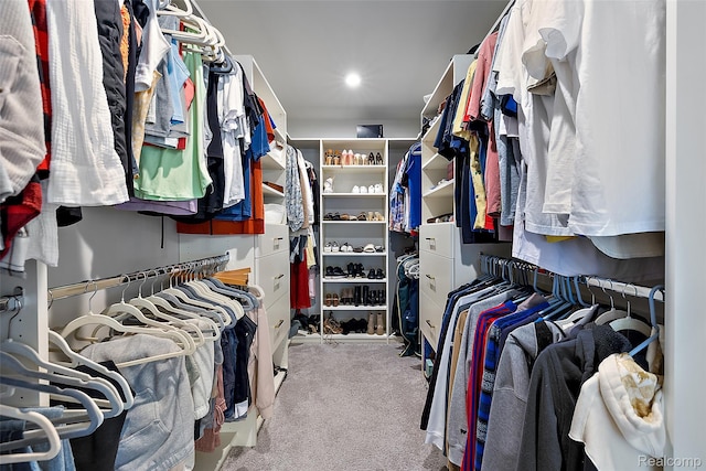 3860 Summit Dr, Sterling Heights, MI 48314 - walk in closet featuring carpet flooring
