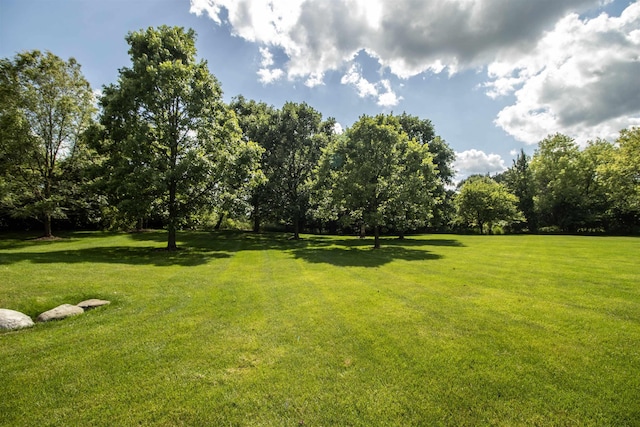 7380 Vassar Rd, Grand Blanc, MI 48439 - view of grassy yard
