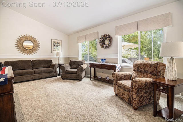 1558 Valentine Ct, Canton, MI 48188 - living room with plenty of natural light, carpet floors, and lofted ceiling