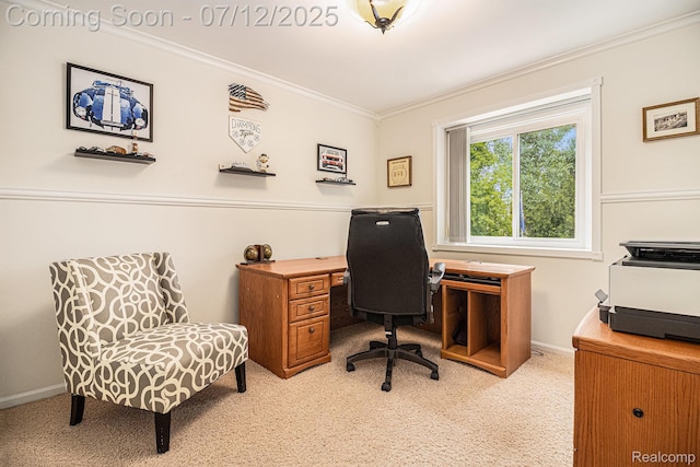 1558 Valentine Ct, Canton, MI 48188 - office area with light carpet and crown molding