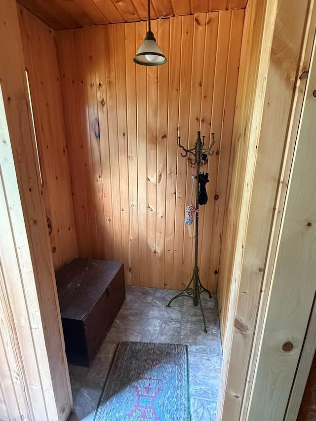 14450 Park Dr, Mecosta, MI 49332 - relaxing sauna / steam room featuring wooden walls and wood ceiling
