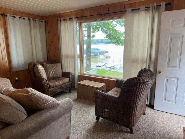 14450 Park Dr, Mecosta, MI 49332 - living room featuring wood walls, carpet flooring, a water view, and healthy amount of natural light