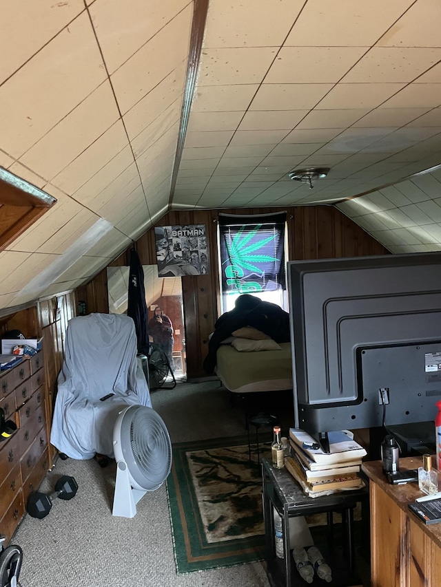 19624 Anglin St, Detroit, MI 48234 - bathroom with lofted ceiling and wood walls