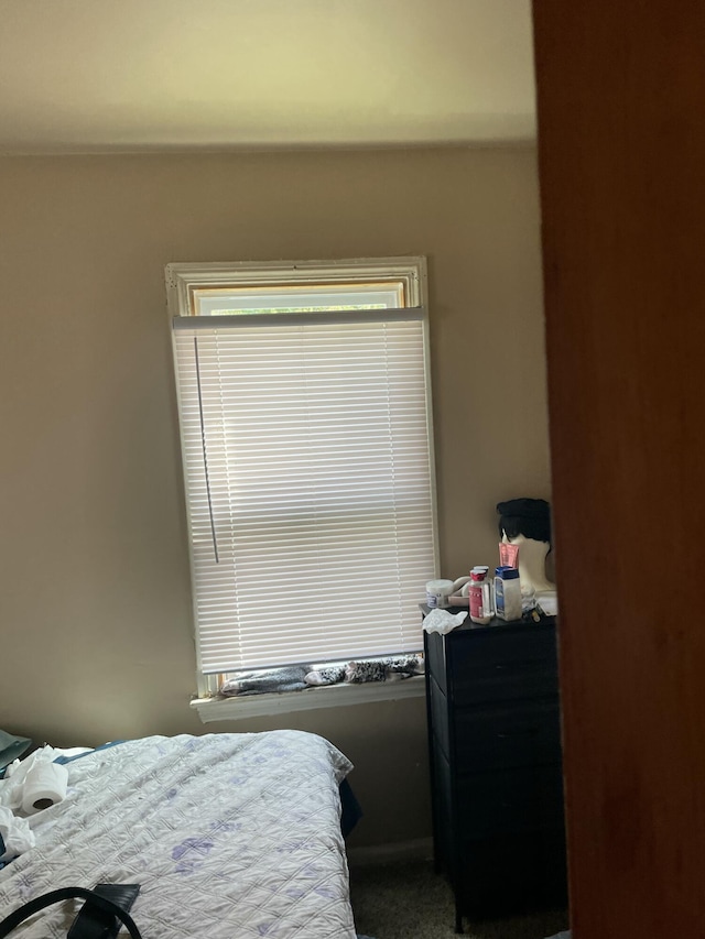 19624 Anglin St, Detroit, MI 48234 - bedroom with carpet flooring