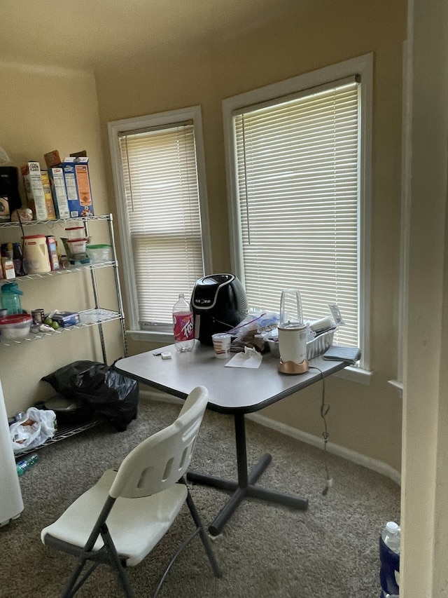 19624 Anglin St, Detroit, MI 48234 - home office with carpet flooring