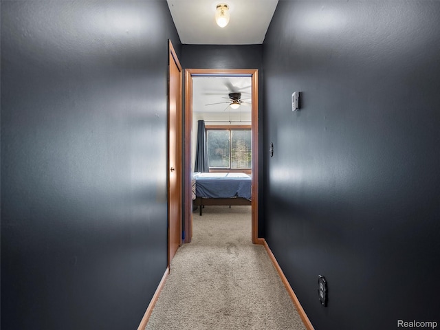 32721 Stoneybrook Ln, Macomb, MI 48026 - hallway with carpet and baseboards