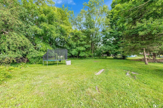 107 W Duncan St, Manchester, MI 48158 - view of grassy yard with a trampoline