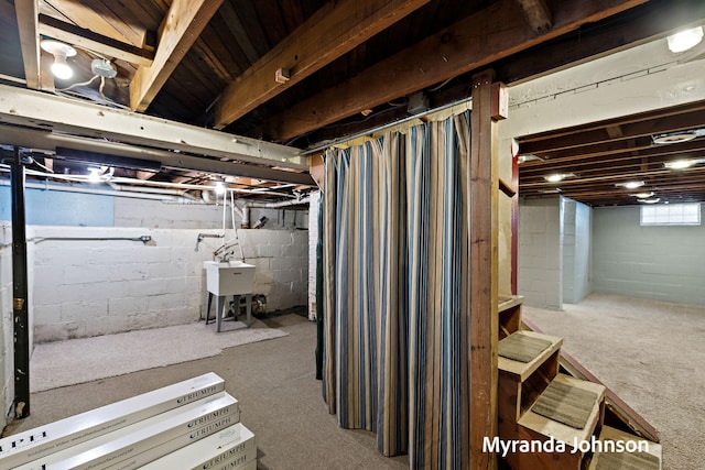 602 Elsa St, North Muskegon, MI 49445 - basement featuring carpet floors and a sink