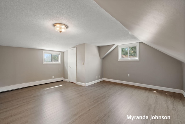 602 Elsa St, North Muskegon, MI 49445 - additional living space featuring a textured ceiling, wood finished floors, a baseboard radiator, plenty of natural light, and lofted ceiling