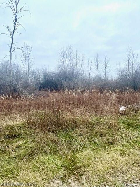 7152 5 Mile Rd, Northville, MI 48168
