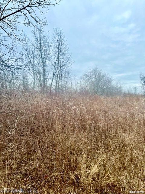 7152 5 Mile Rd, Northville, MI 48168