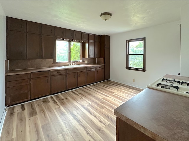 2839 128th Ave, Holland, MI 49424 - kitchen with plenty of natural light, light wood-style flooring, tasteful backsplash, and dark brown cabinets