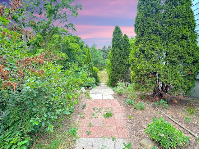 2839 128th Ave, Holland, MI 49424 - view of yard