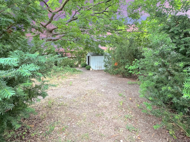 2839 128th Ave, Holland, MI 49424 - view of yard with a storage shed